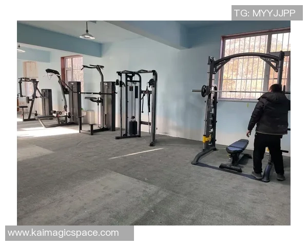 全面解析各类体育健身器材报价及选购指南助你打造完美健身空间